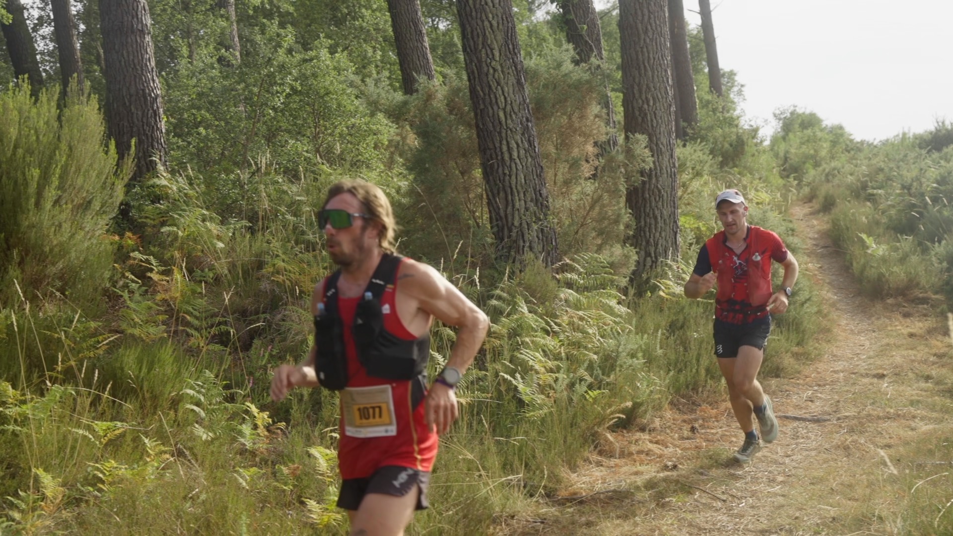 Deux coureurs en tenue rouge sur le sentier en forêt de pins