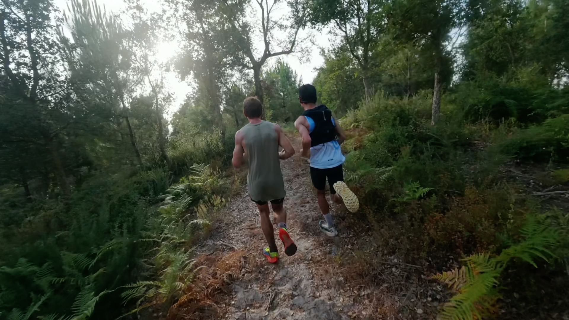 Deux coureurs de dos en montée dans la forêt landaise