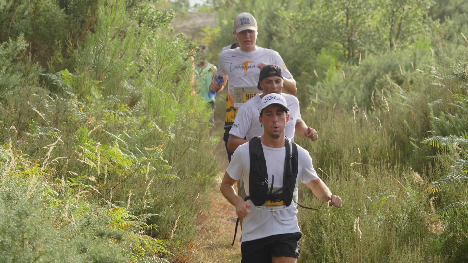 File de coureurs Landirun en montée sur le sentier landais