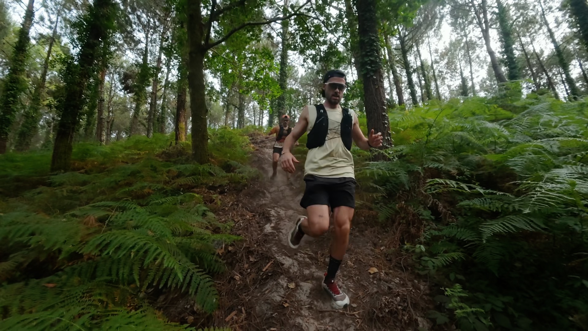 Deux coureurs en descente technique dans les fougères