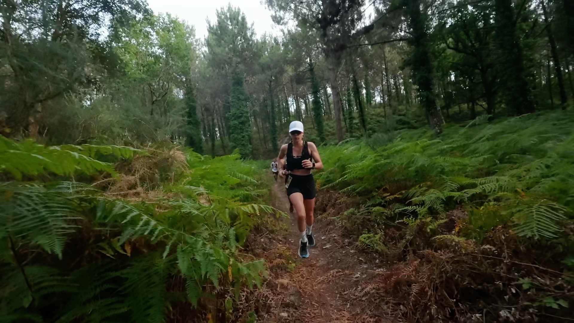 Coureuse en single track entre les fougères de la forêt landaise