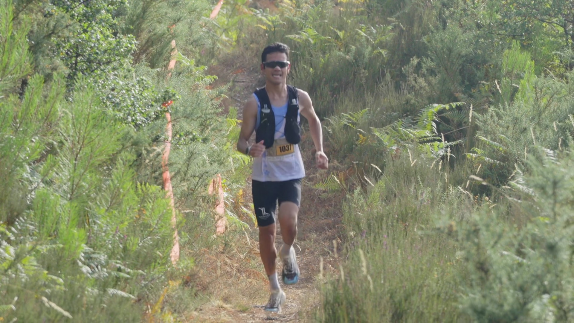 Coureur en action sur le single track entre fougères