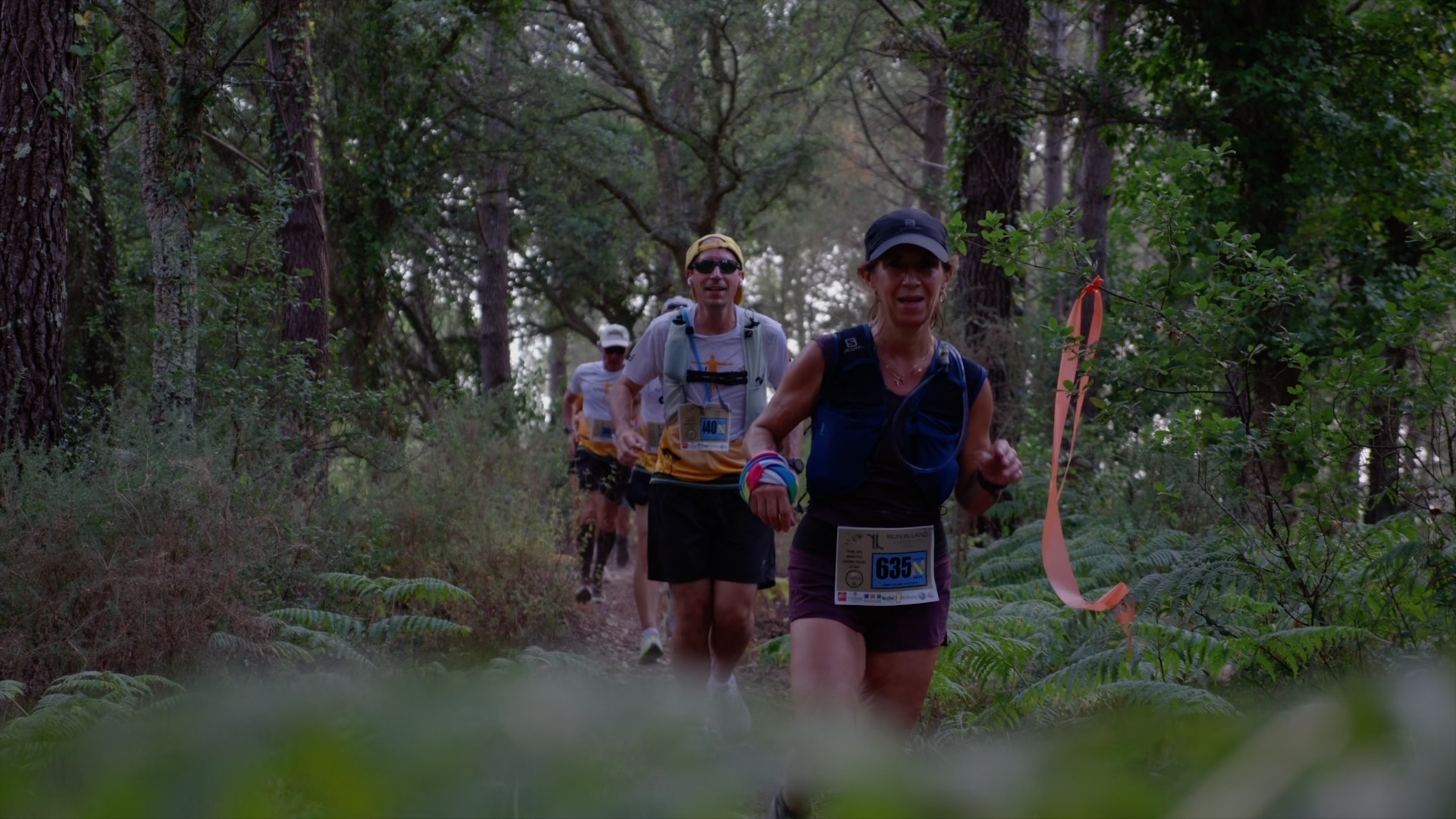Coureurs dans la forêt de pins et fougères