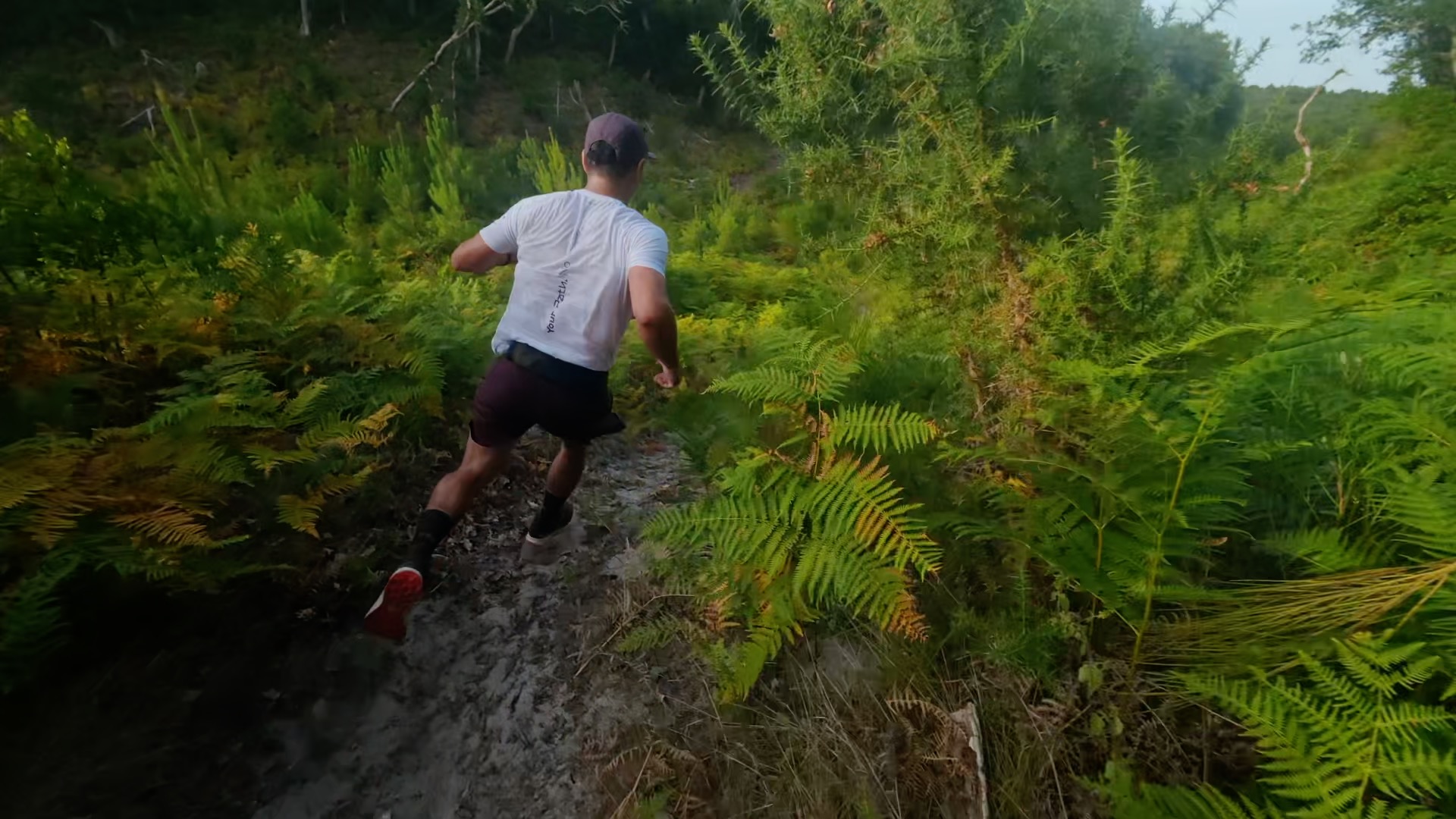 Coureur dévalant un single track entre fougères et ajoncs